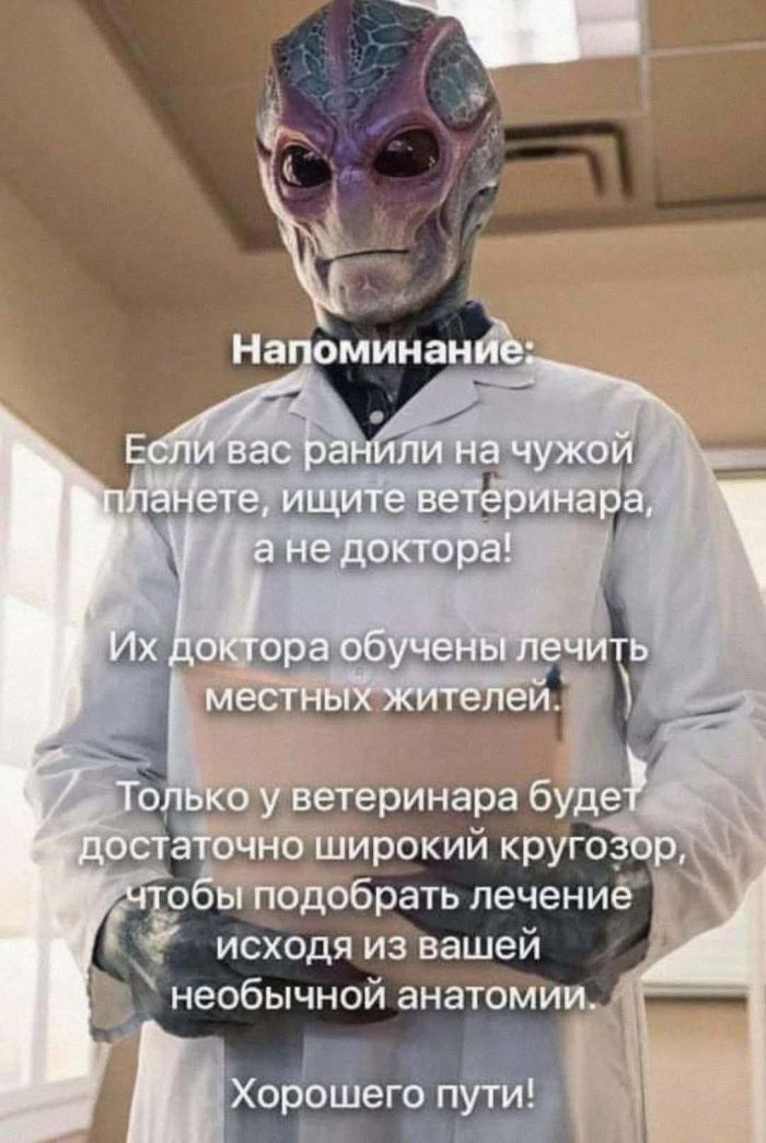 картинка db09b36a94 00