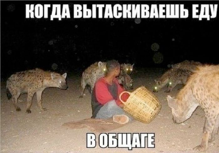 картинка dc70746d3d esli u vas vse esche est moralnye principy luchshe projdite mimo  2