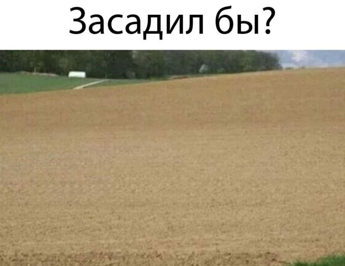 картинка e0b0970b9a zabud pro skuku podborka jumora s perchinkoj 16