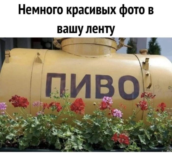 Заряжаемся на позитив! Новая порция мемов уже здесь 🚀 которые, посмеяться, Устали, слов», комментарии, смешнее, самих, постовХватит, грустить, листайте, заряжайтесь, настроением, делитесь, друзьями, чтобы, вместе, 👇Предыдущая, «понимают, жизненные, ситуации