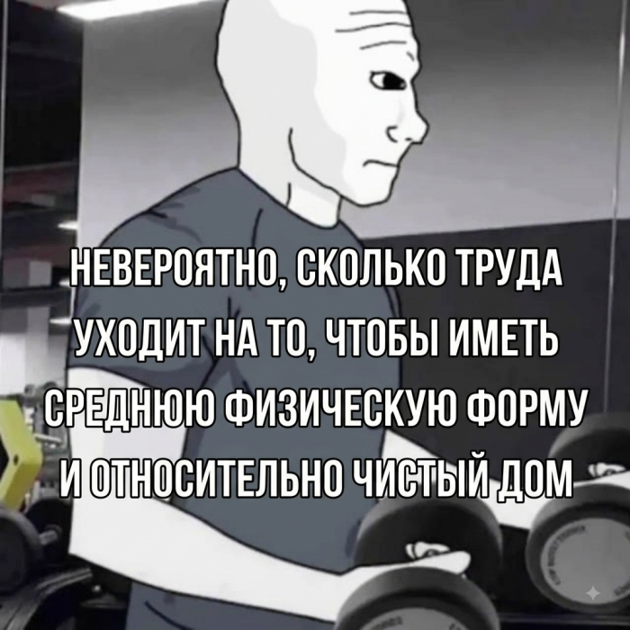 картинка e88fd96e4b 1786857405