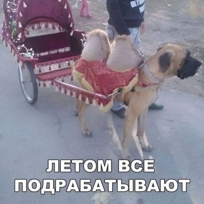 картинка ec2cc52bc9 kogda dazhe kofe sdalsja a den uzhe proigral 20