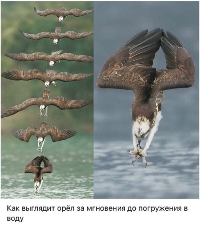 картинка efa1ebbcc1 21190309