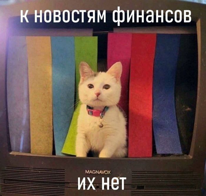 картинка f2dc9c85cd 000000