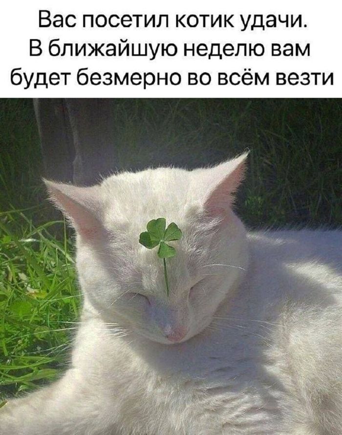 Рабочая неделя официально повержена! 🥊 Рабочая неделя официально повержена! 🥊 Чтобы, эндорфинов, самое, конца, собойЛистайте, улетучатся, мысли, рабочие, небес, подскочит, уровень, переход, Гарантируем, мемов, свежий, собрали, плавно, максимально, прошел, «выходные»