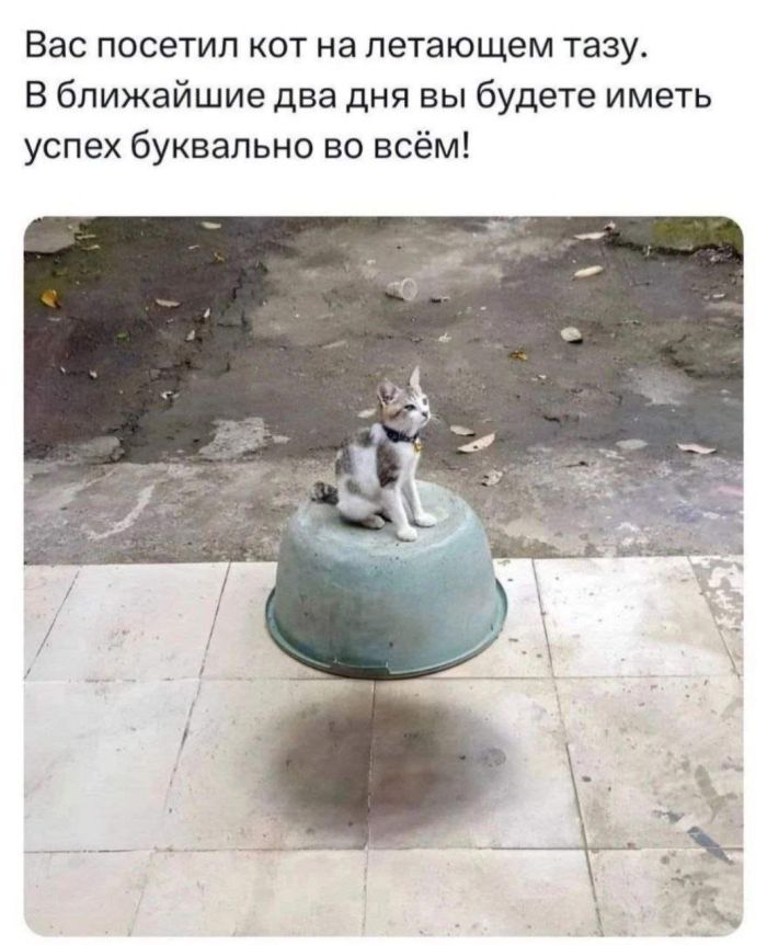 Заряжаемся на позитив! 🚀 Самые свежие приколы дня уже здесь! Устали, остроумие, 👇Предыдущая, голос, смеяться, заставит, который, главный, спрятан, конца, себяЛистайте, узнает, каждый, которых, картинки, «Оскара», серьезных, достойны, которые, комментарии