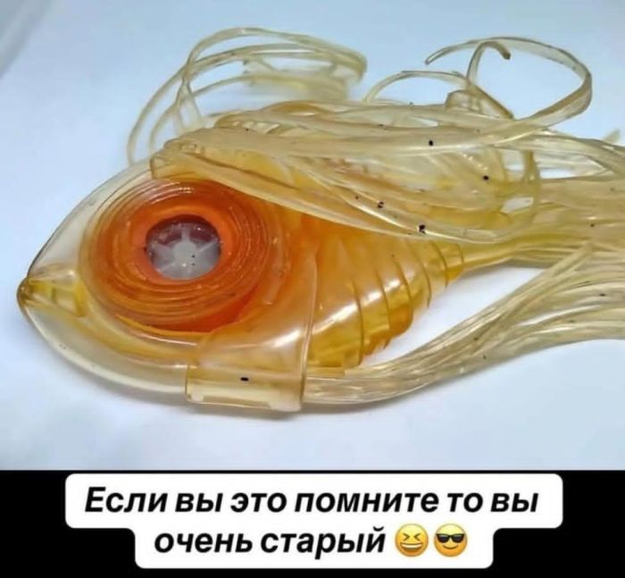 картинка fabd8066ea 1787982453