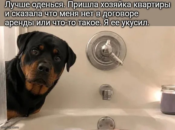 картинка 004124ef44 21213897