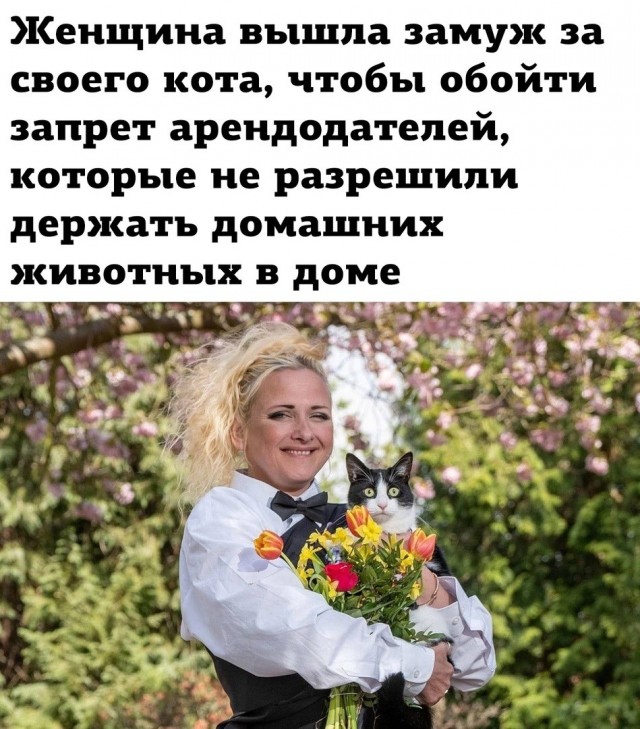 картинка 013032037b 21192970