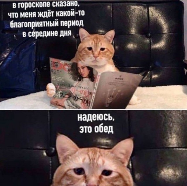 картинка 01abbdefb0 malenkaja pjatnica uzhe zdes 2