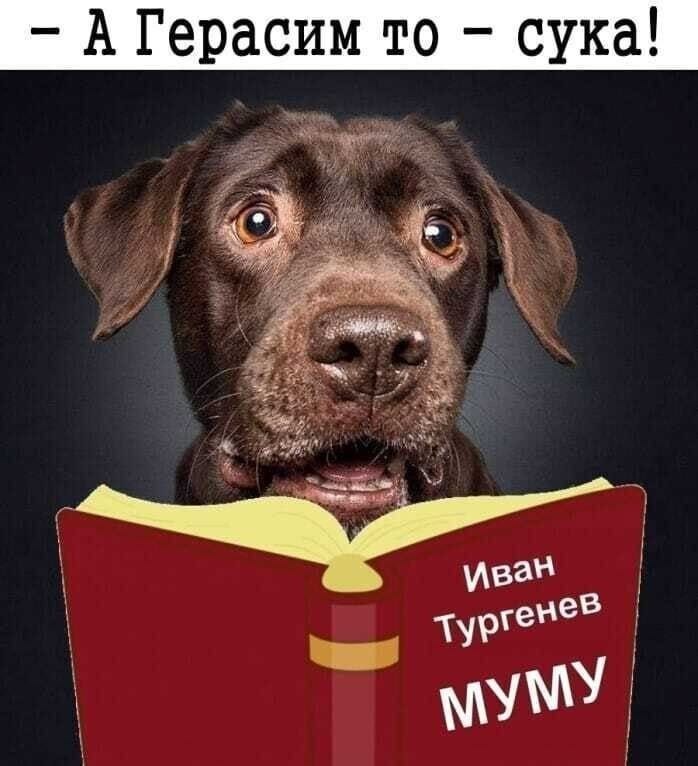 картинка 045d332aa8 pjatnichnaja razrjadka memy i foto kotorye pojmet kazhdyj 7