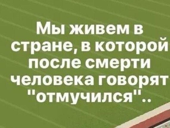 картинка 047bd15cfb 21243537