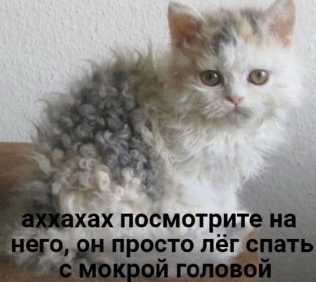 картинка 05588c7c8d 21191231