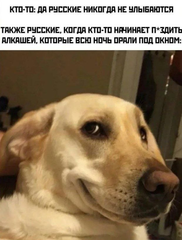 картинка 099d665e6a 21213491