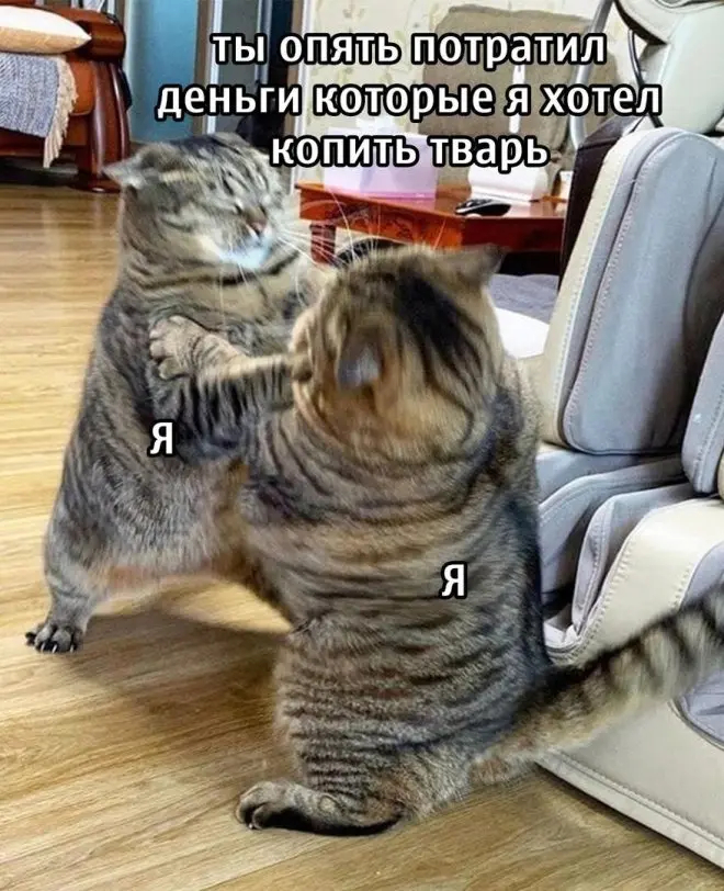 картинка 0a67fdcdf8 podborka memov 21