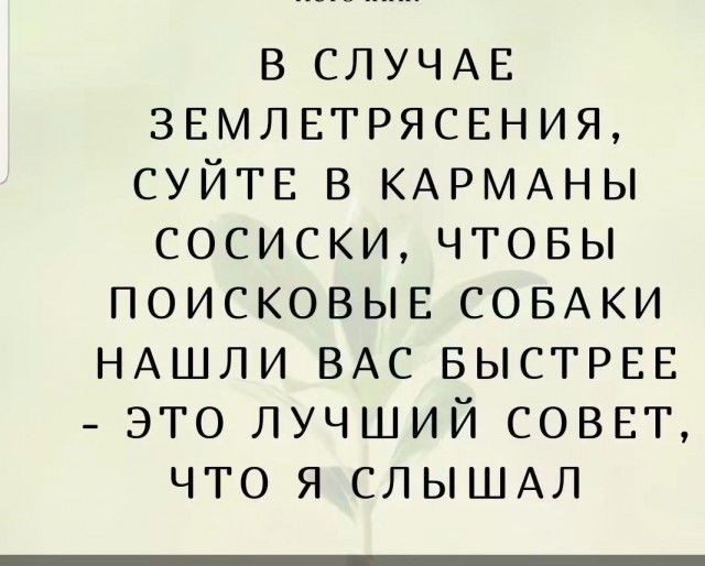 картинка 0bc4b3cb1a 21228865