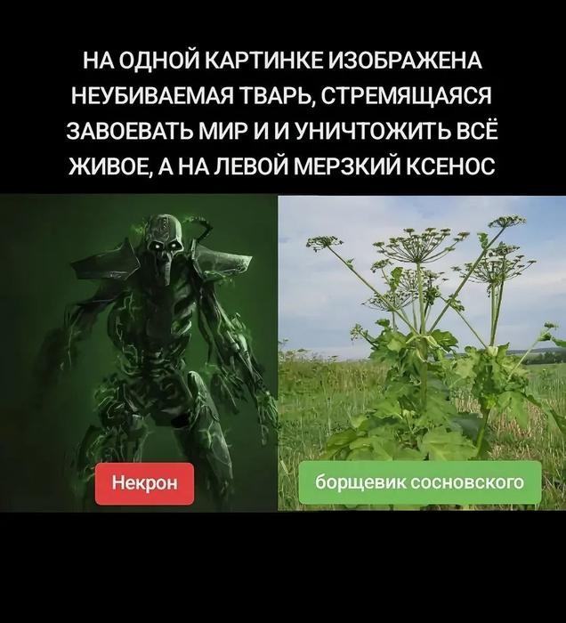 картинка 162c0e6987 21253894