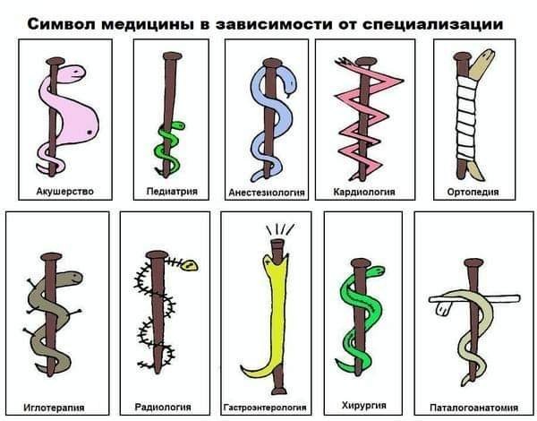 картинка 172f2f8ddb 21224682