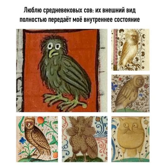картинка 174a33c288 21256686