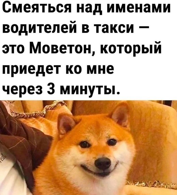 картинка 18ef78742f 0000