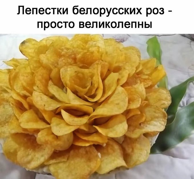 картинка 197f998ae5 00000