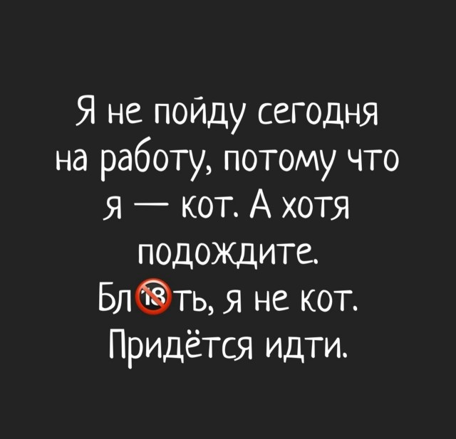 картинка 1b602c4289 21236743