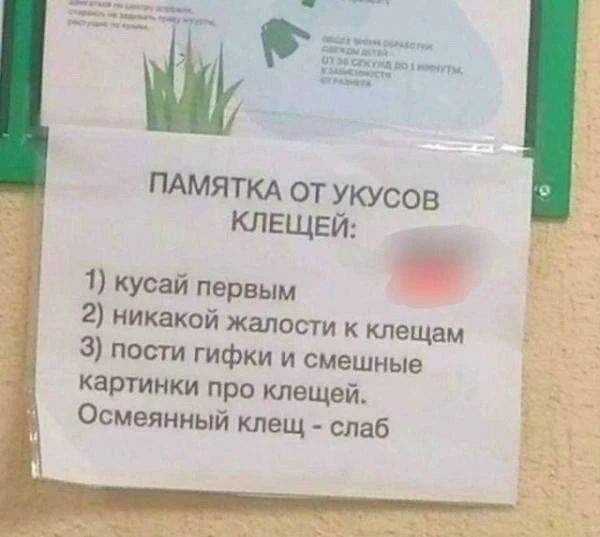 картинка 1c5de9cf28 1790695100