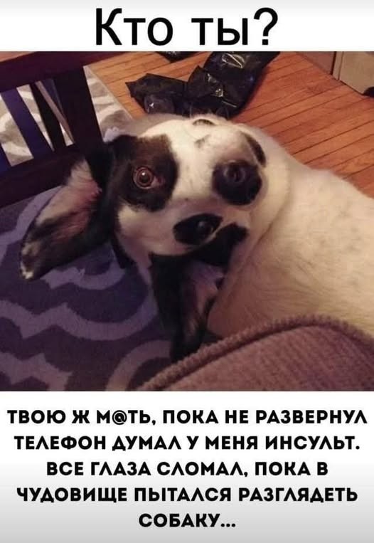 Выходные официально открыты! ✨ настроение, улыбайтесь, картинок, которые, поднимут, самый, пасмурный, деньЛистайте, карусель, забудьте, ситуаций, отправить, другу, которому, нужно, немного, посмеятьсяПриятных, выходных, абсурдных, жизненных