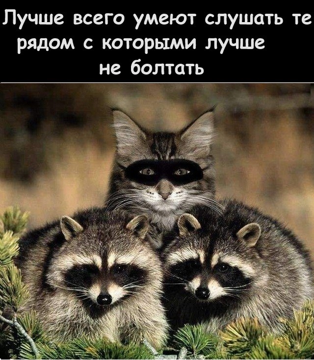 Выходные официально открыты! ✨ настроение, улыбайтесь, картинок, которые, поднимут, самый, пасмурный, деньЛистайте, карусель, забудьте, ситуаций, отправить, другу, которому, нужно, немного, посмеятьсяПриятных, выходных, абсурдных, жизненных