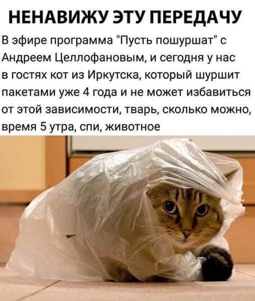 картинка 2025b75066 00