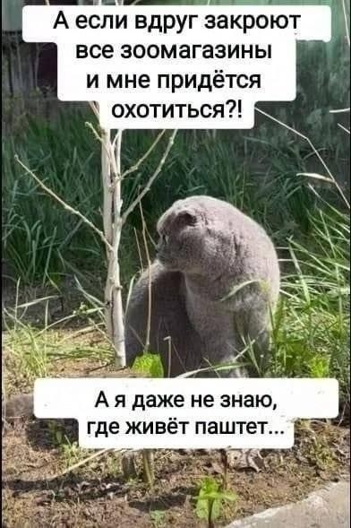 картинка 2379cc734b 21255054