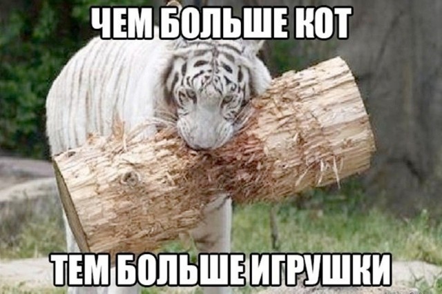 картинка 245f601765 21236739