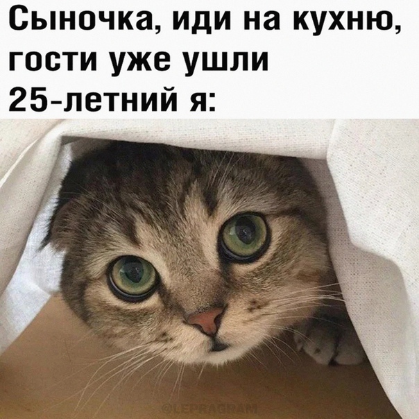 картинка 24a9e028b8 000
