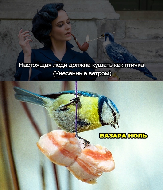 картинка 25a305b1ce seredina nedeli samoe vremja sdelat pauzu na 5 minut i prosto posmejatsja 15