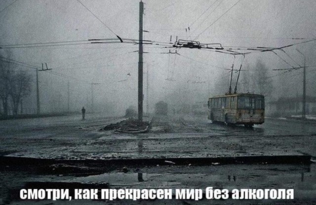 картинка 260e1603d4 21255389