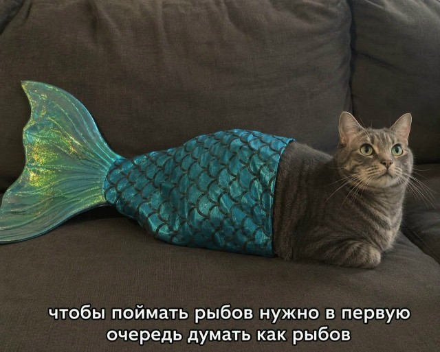Нужна доза хорошего настроения? Мы тут подготовили подборку, после которой день станет чуточку лучше. 🚀 время, Устали, спокойнее, голос, 😄Листайте, заряжайтесь, лёгким, настроением, возвращайтесь, делам, какой, повезёт, последнее, реально, рассмешил, Поделитесь, комментариях, соберём, коллекцию, посмеяться