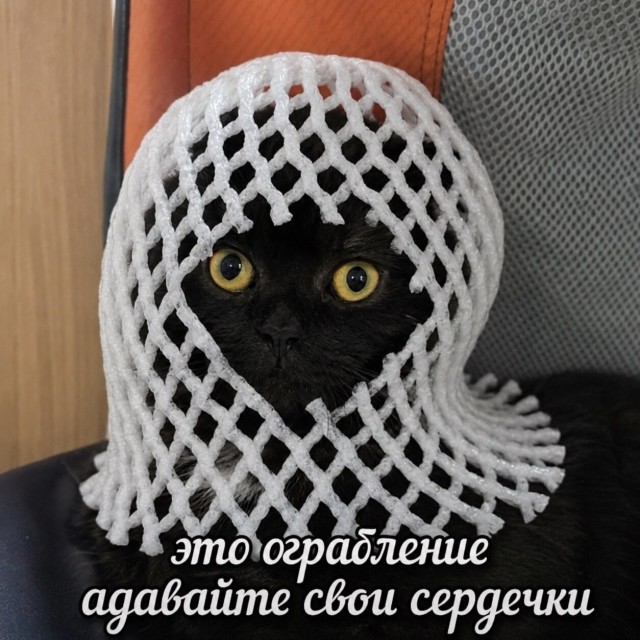 картинка 2b20a304a4 21240945