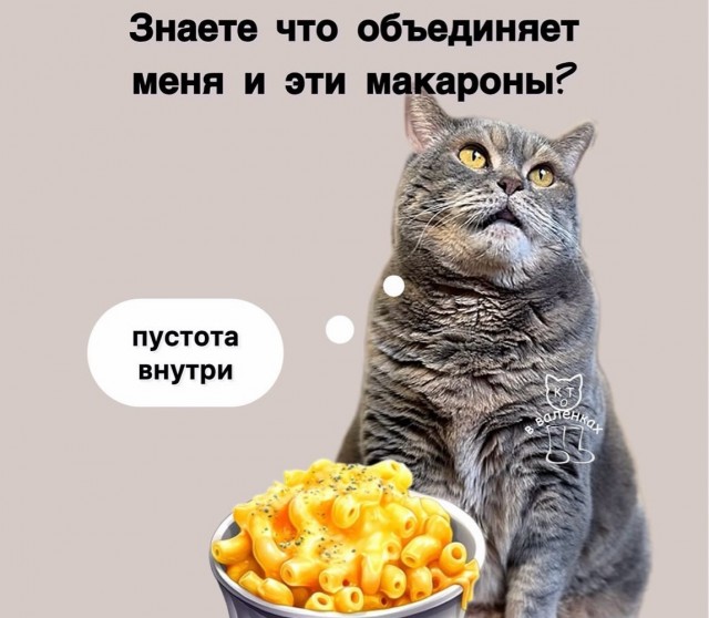 картинка 2dbef06a07 21195820