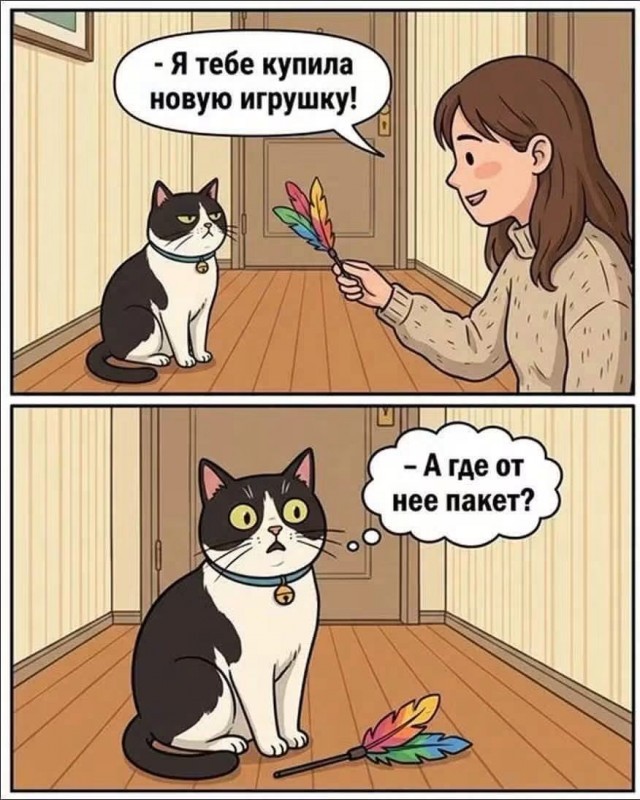 картинка 2e22a771e9 podborka memov 2