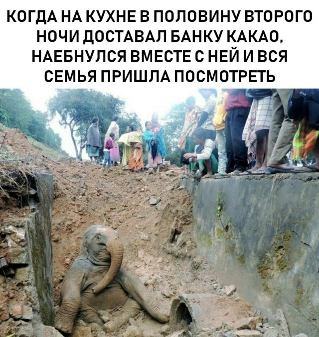 картинка 2eb1ad5ab8 21238550