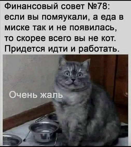 картинка 2f8635a3fc 21225664