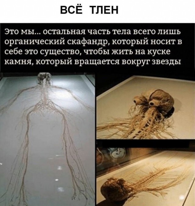 картинка 31622eccdd 21228473