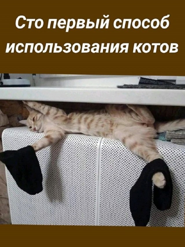 картинка 31c60c8f26 21255300