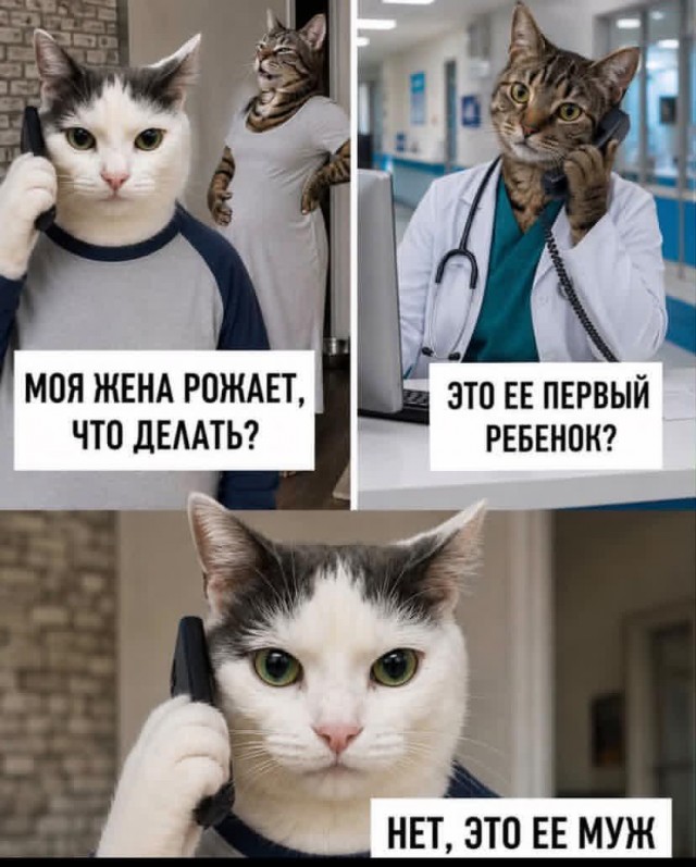 картинка 3492763b73 21228995