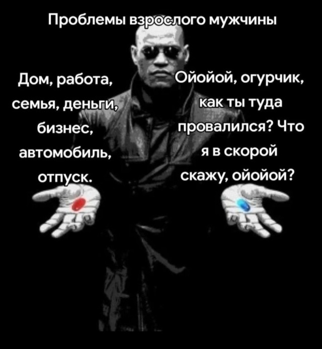 картинка 366db0338e 21224829