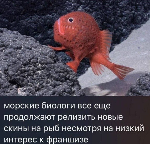 картинка 3904481b29 21238117