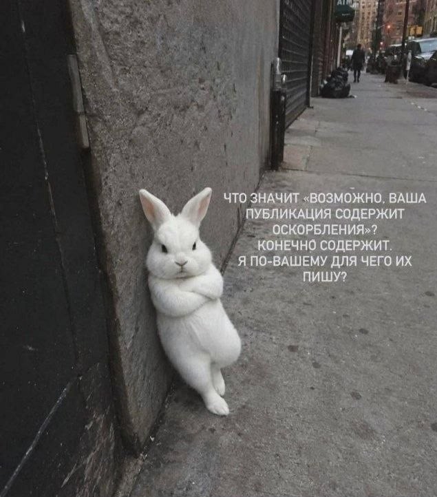 картинка 39dd235fe9 21244054