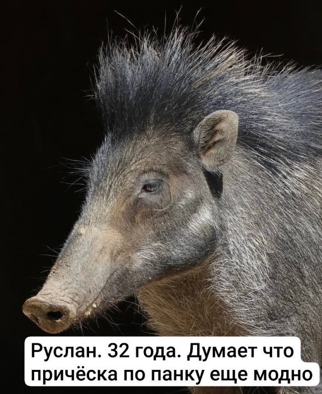 картинка 3a50a2f892 21243536