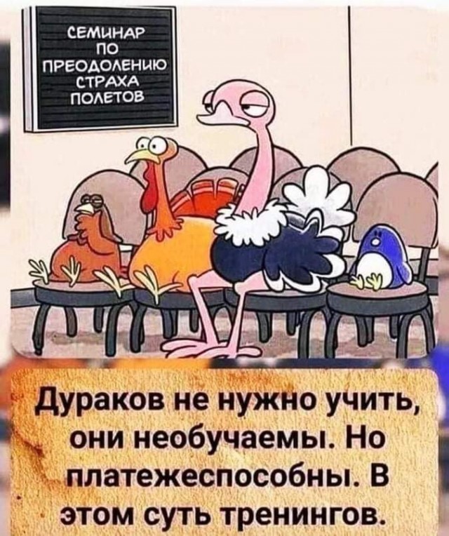 картинка 3b78336eab 21194433