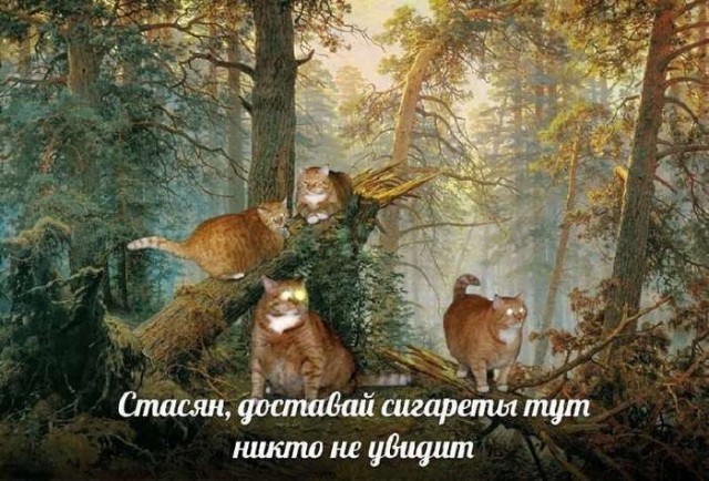 картинка 3b86cb6293 21238167